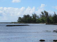 SX50IMG_4467.jpg