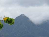 SX50IMG_4487.jpg