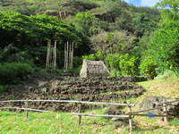 SX50IMG_4488.jpg