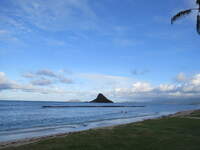 SX50IMG_4495.jpg