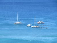 SX50IMG_4513.jpg