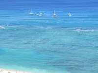SX50IMG_4517.jpg