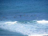 SX50IMG_4551.jpg