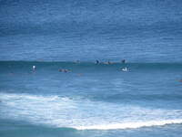 SX50IMG_4558.jpg