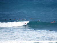 SX50IMG_4566.jpg