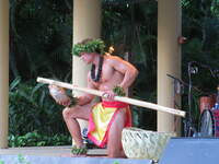 SX50IMG_4602.jpg
