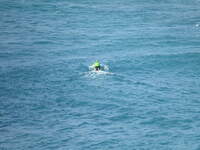SX50IMG_4636.jpg