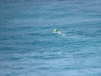 SX50IMG_4637.jpg