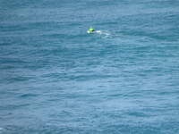 SX50IMG_4638.jpg