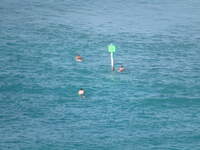 SX50IMG_4650.jpg
