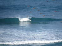 SX50IMG_4675.jpg
