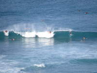 SX50IMG_4684.jpg