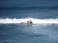 SX50IMG_4687.jpg
