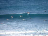 SX50IMG_4694.jpg
