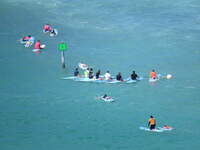 SX50IMG_4704.jpg