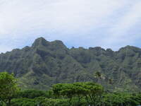 SX50IMG_4715.jpg