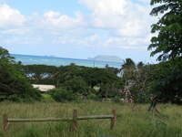SX50IMG_4748.jpg