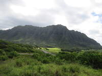SX50IMG_4765.jpg