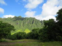 SX50IMG_4799.jpg