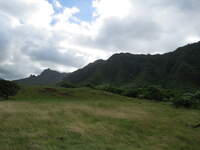 SX50IMG_4810.jpg