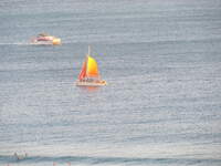 SX50IMG_4824.jpg