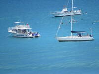 SX50IMG_4840.jpg