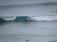 SX50IMG_4857.jpg