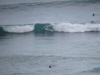 SX50IMG_4859.jpg