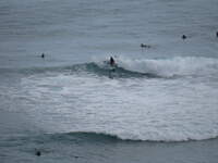 SX50IMG_4862.jpg