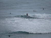 SX50IMG_4863.jpg