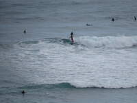 SX50IMG_4867.jpg