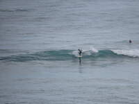SX50IMG_4874.jpg