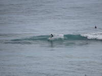 SX50IMG_4878.jpg