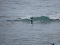 SX50IMG_4883.jpg
