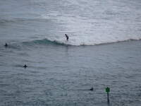 SX50IMG_4887.jpg