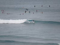 SX50IMG_4915.jpg