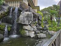 20260724_164736.jpg