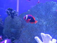 SX50IMG_4944.jpg