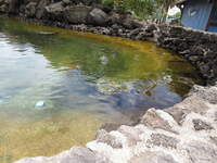 SX50IMG_4957.jpg