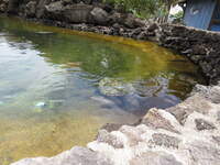 SX50IMG_4958.jpg