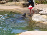 SX50IMG_5008.jpg