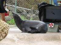 SX50IMG_5014.jpg