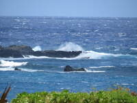 SX50IMG_5090.jpg