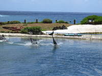 SX50IMG_5146.jpg