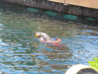 SX50IMG_5165.jpg