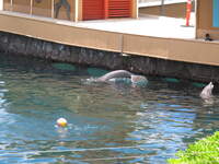SX50IMG_5182.jpg