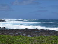 SX50IMG_5207.jpg