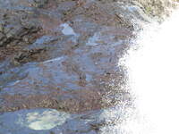 SX50IMG_5263.jpg