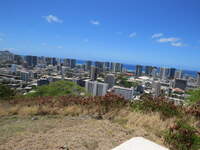 SX50IMG_5362.jpg