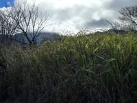 20260728_165129.jpg